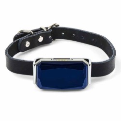 Collier tracker GPS simple à utiliser pour chat et chien
