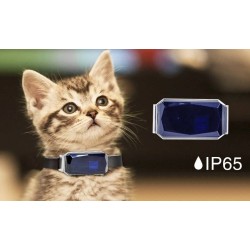 gps tracking cat collar